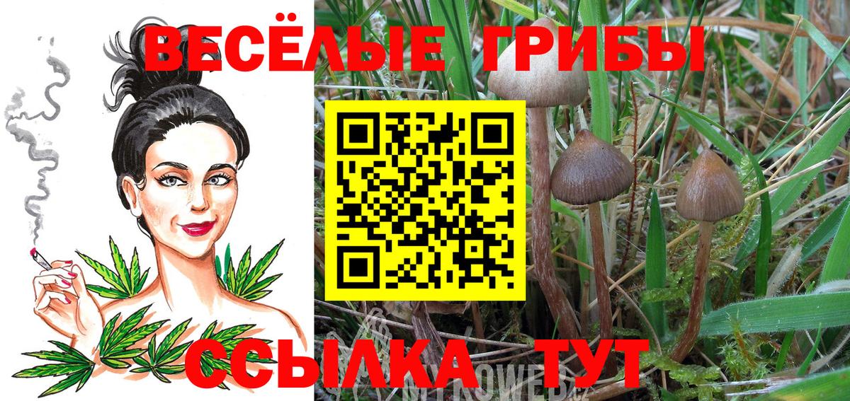 Галлюциногенные грибы GOLDEN TEACHER  Вход с VPN  Оренбург 